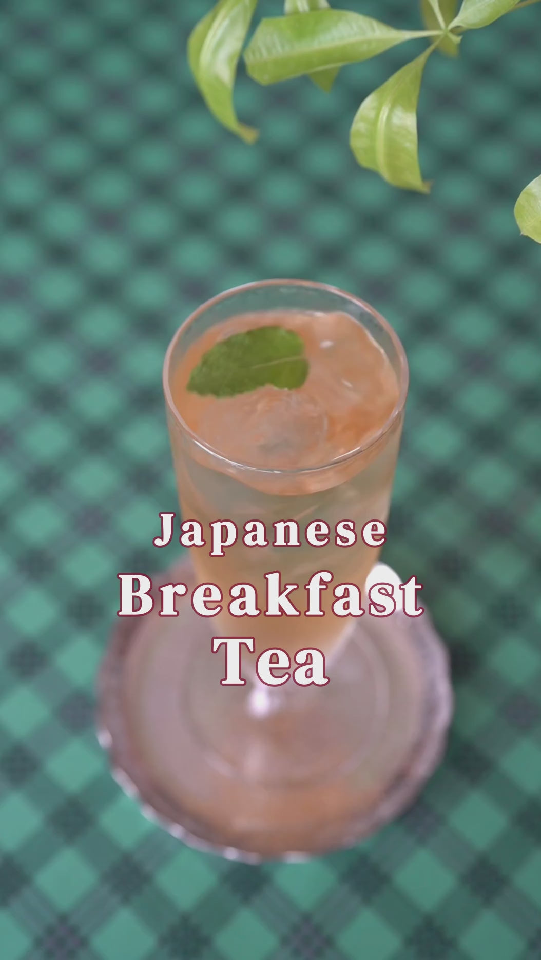 日本の紅茶 JAPANESE BREAKFAST / FUJI – aardvark TEA